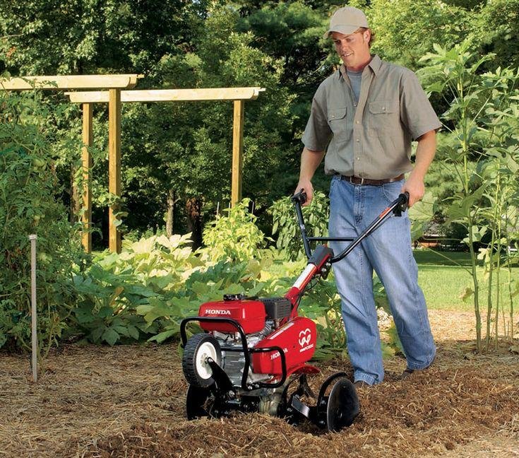 whatsapp image 2025 06 16 at 6.19.52 pm (3)